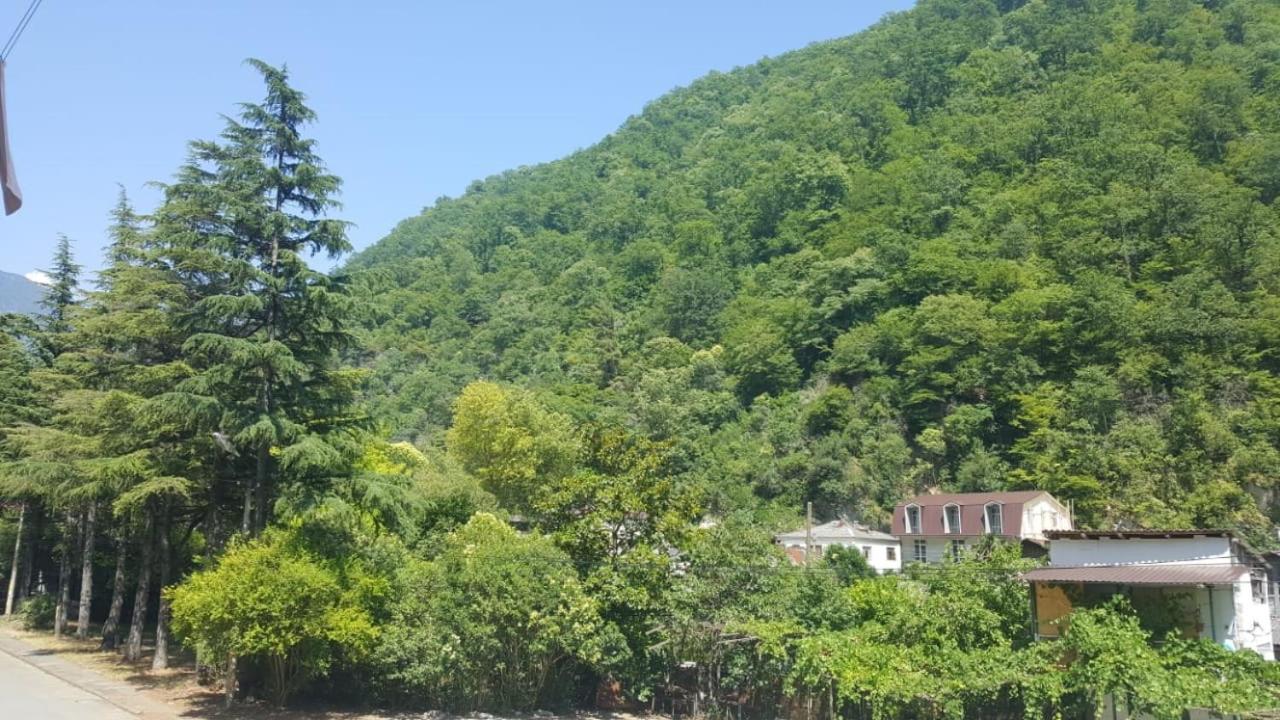 Guest House Gorny Ruchei Gagra Esterno foto